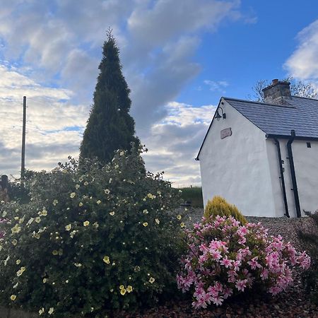 Dans Wee Cottage Slieve Croob Dromara Castlewellan Newcastle מראה חיצוני תמונה