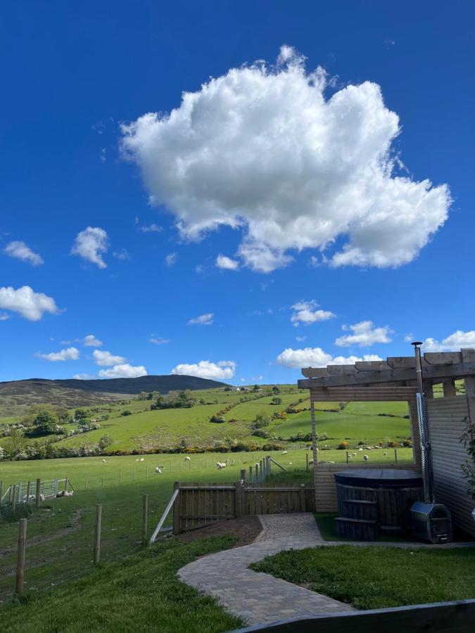 Dans Wee Cottage Slieve Croob Dromara Castlewellan Newcastle מראה חיצוני תמונה