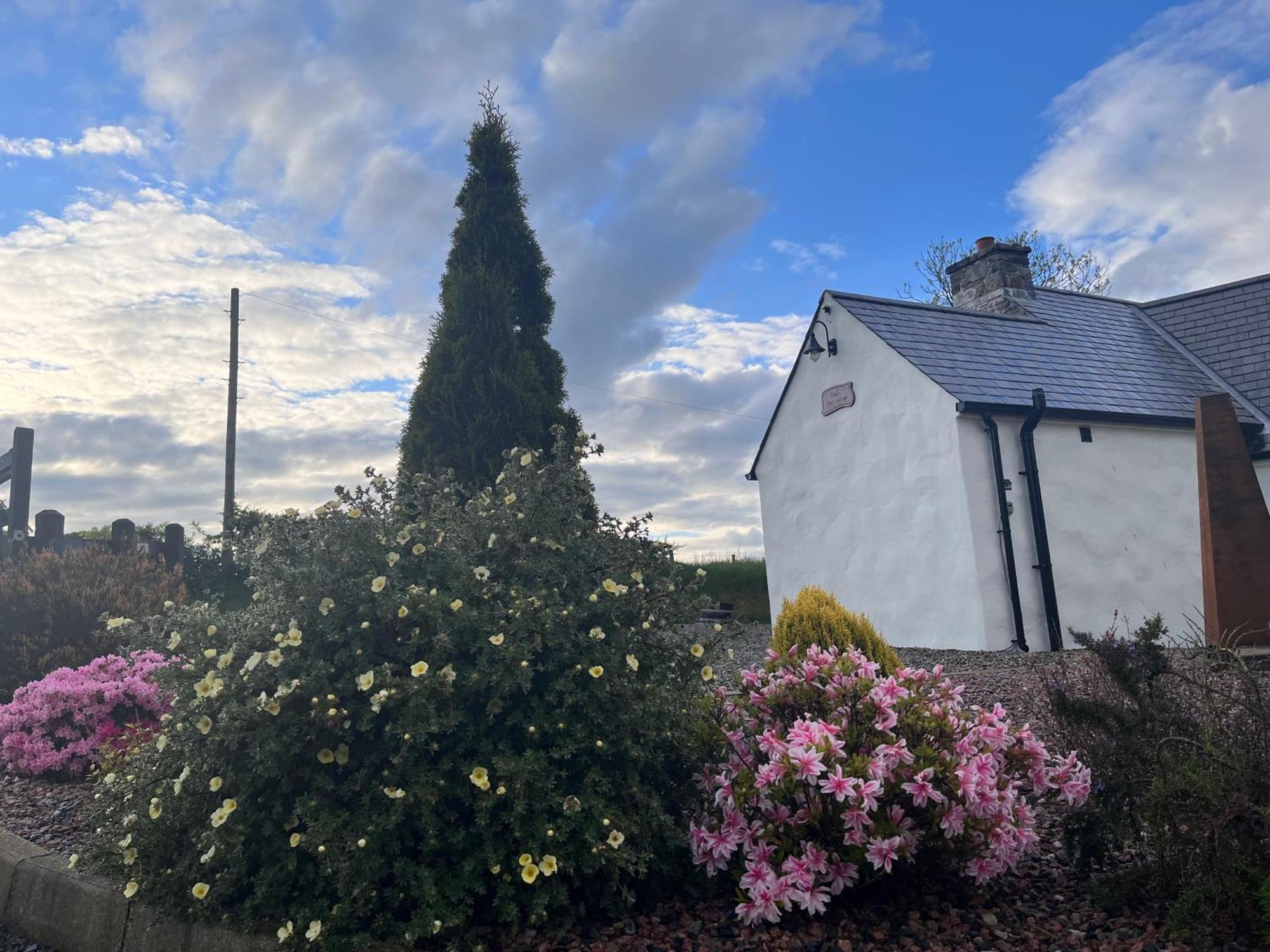 Dans Wee Cottage Slieve Croob Dromara Castlewellan Newcastle מראה חיצוני תמונה